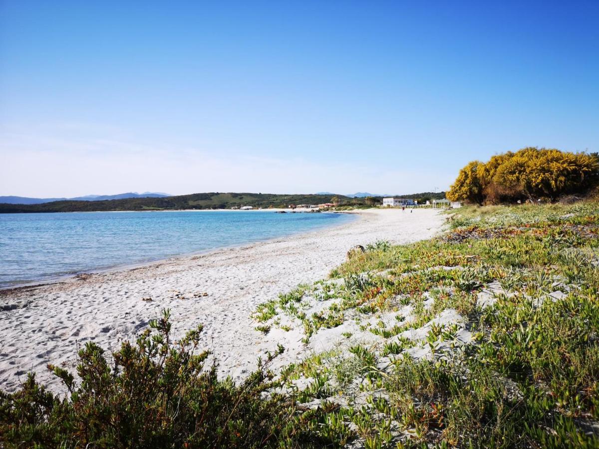 Insardinia House Trilocale A 200Mt Dalla Spiaggia Olbia Exteriör bild